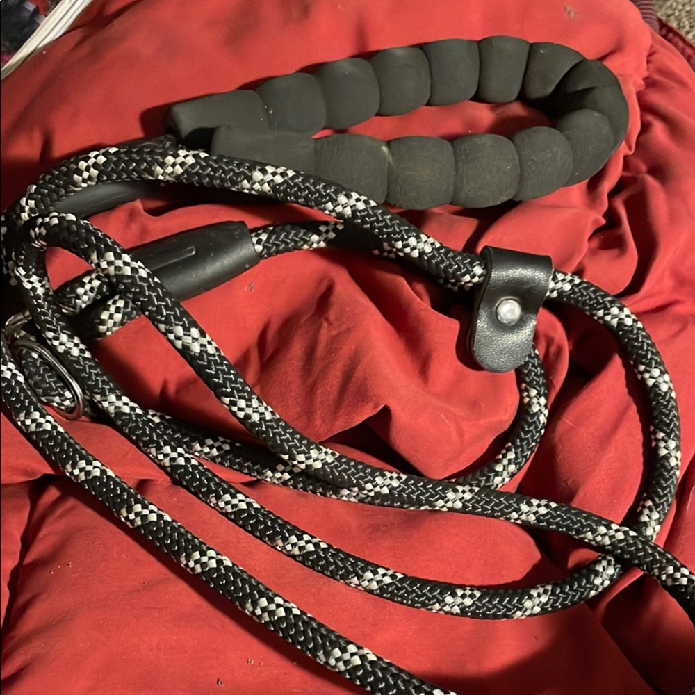 No-Pull Leash